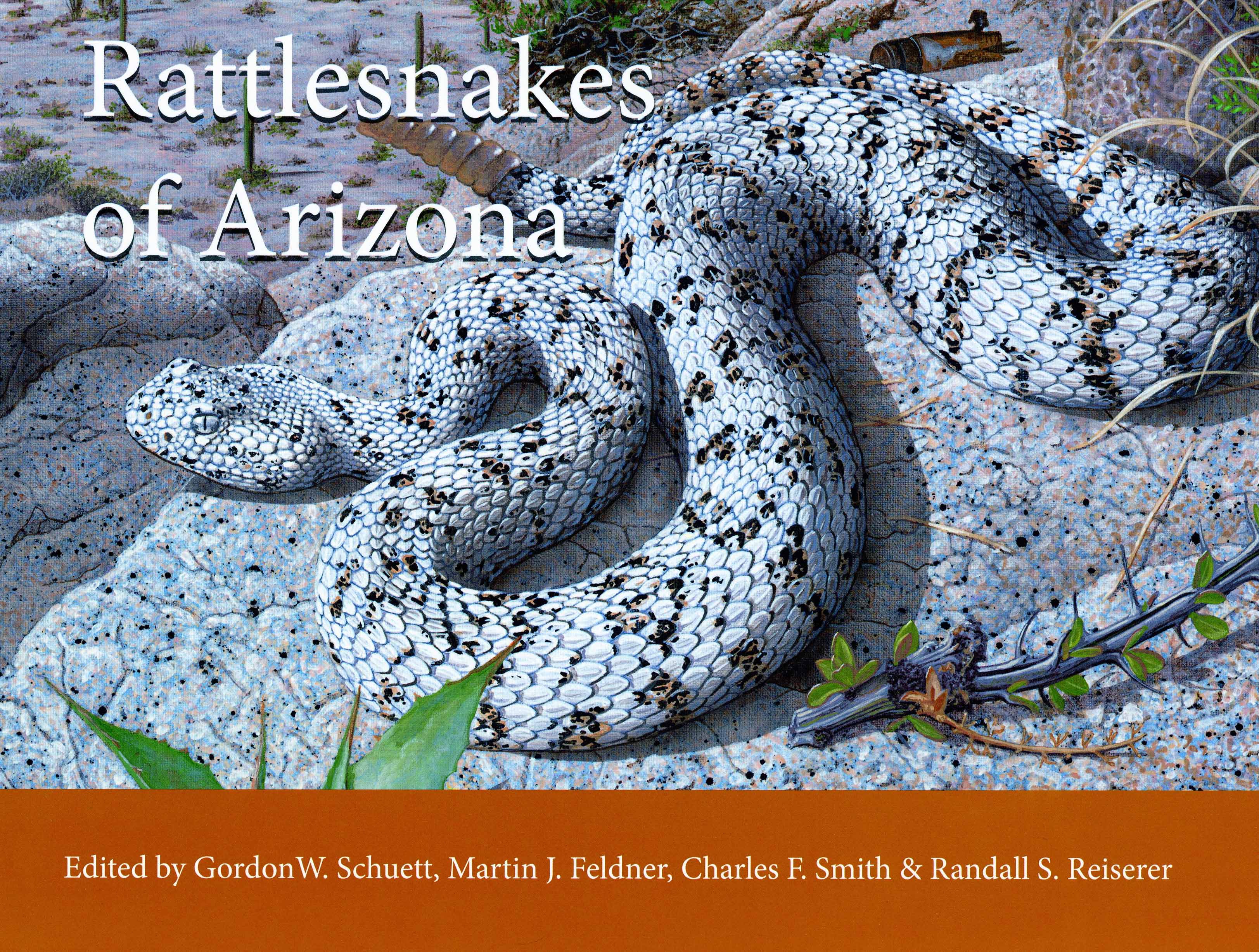 Image for Rattlesnakes of Arizona: Conservation, Behavior, Venom, and Evolution, Volume 2